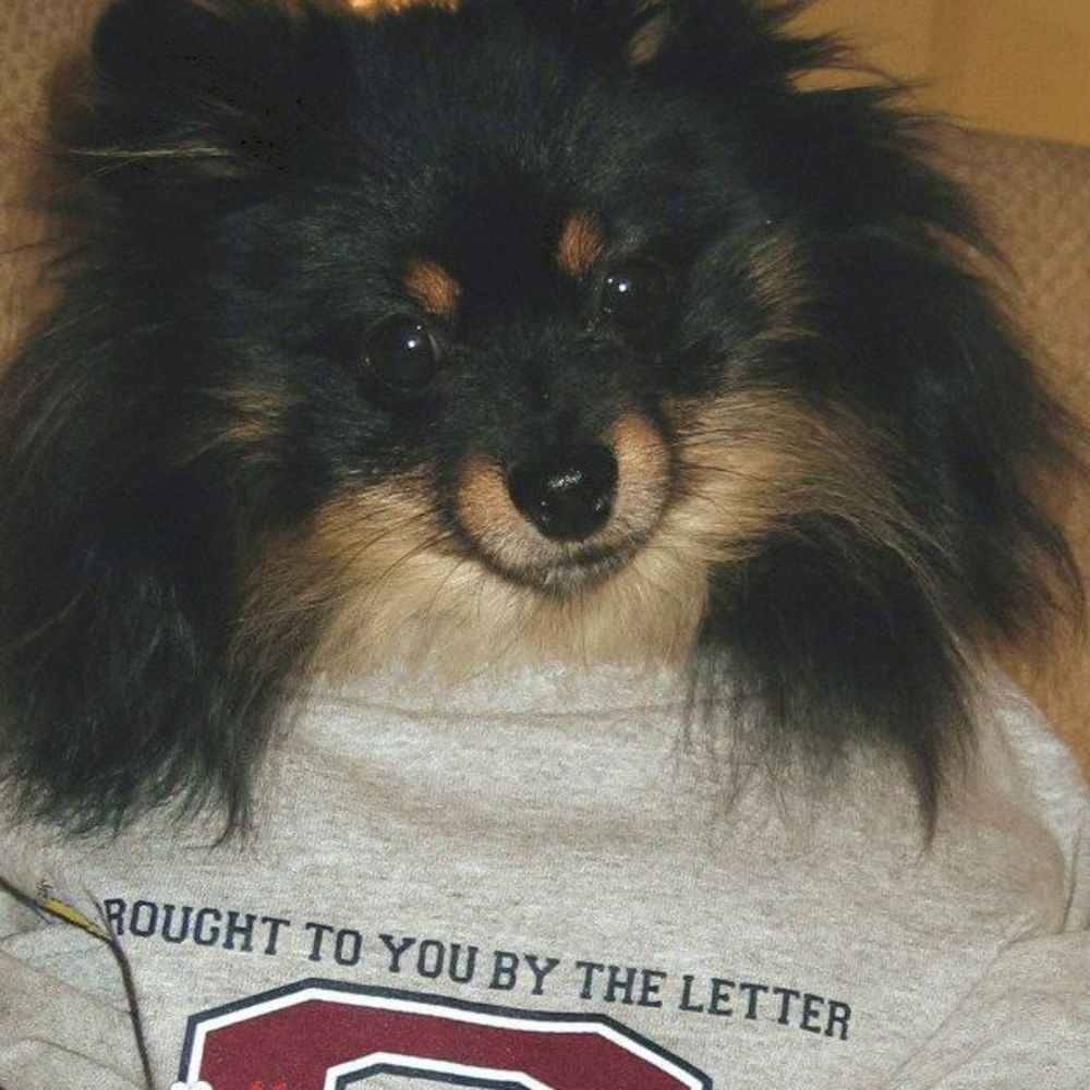 Meet your Posher, Michele